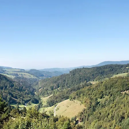 Schwarzwaldperle