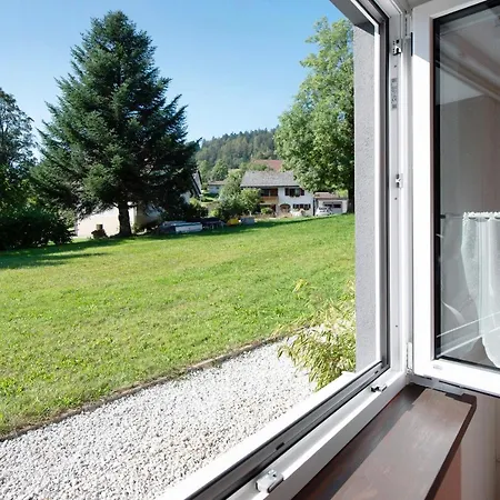 Schwarzwaldperle Apartmán